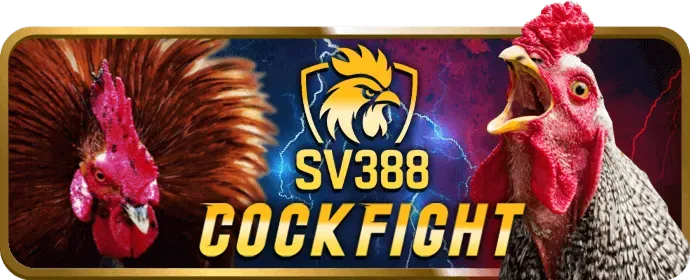 Các sản phẩm cá cược và trò chơi của J88bet khuyến mãi